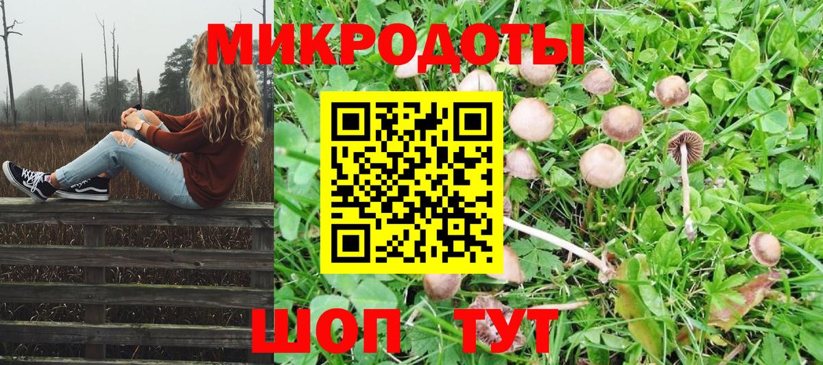 Ставрополь  Галлюциногенные грибы Cubensis  Вход с VPN 